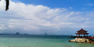 临海小麦资源优势